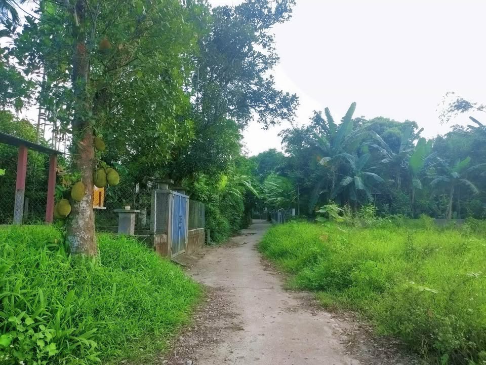 Đất nền Thủy Bằng Huế 1345m² giá 3.x triệu/m² - View Hồ Sen cực đẹp