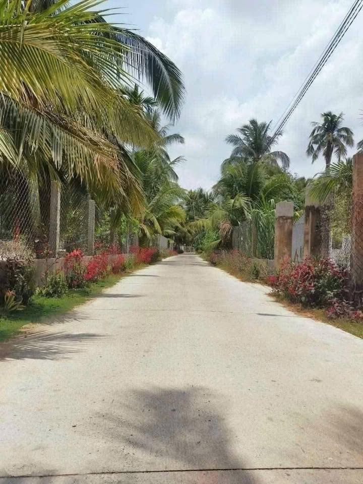 Đất nền mặt tiền Lộ thông - Phú Nhuận, Bến Tre 180m² giá 850 triệu - Cơ hội đầu tư tuyệt vời!