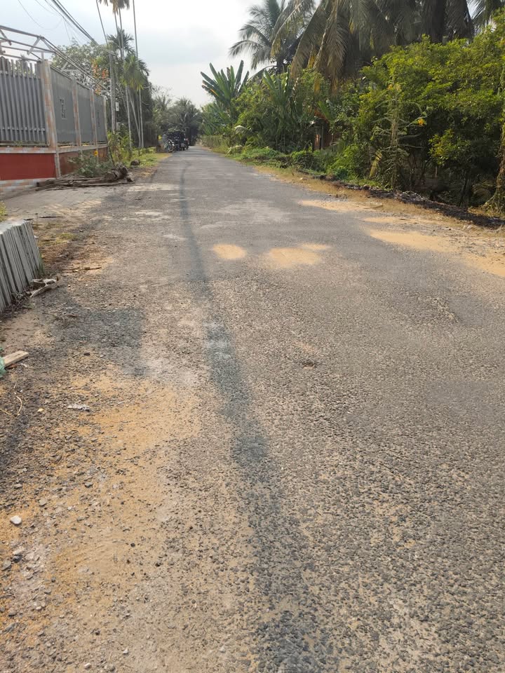 Đất 2 Mặt Tiền Sông Tiền và Đường Lộ Nhựa tại Phú Đức, Châu Thành - 6000m² chỉ 8.1 tỷ!