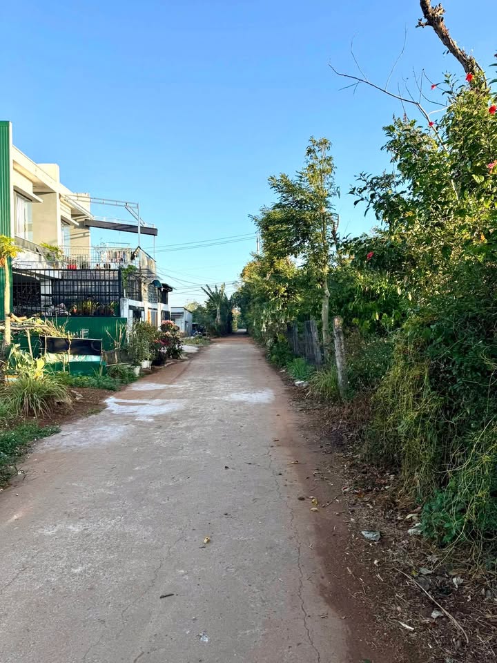 Đất thổ cư Thôn 6 Cư Ê Bur, Buôn Ma Thuột 239m² - Vị trí đắc địa, giá thương lượng!