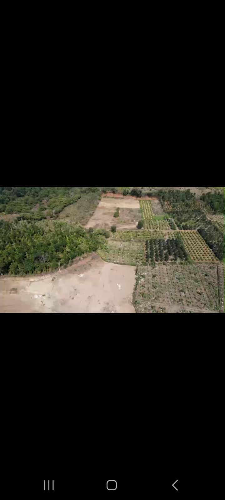 Đất rẫy 4783m² xã Cư ÊBur, Buôn Ma Thuột giá chỉ 2.5 tỷ - Cơ hội đầu tư hấp dẫn!