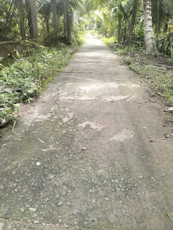 Đất nền 301.2m² tại Ấp 4 Nhơn Thạnh, Bến Tre - Giá chỉ 440 triệu, cơ hội đầu tư tốt!