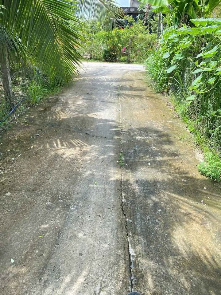 Đất nền Lương Hòa, Vĩnh Long 301m² giá 500 triệu - Sổ đỏ chính chủ, thương lượng!