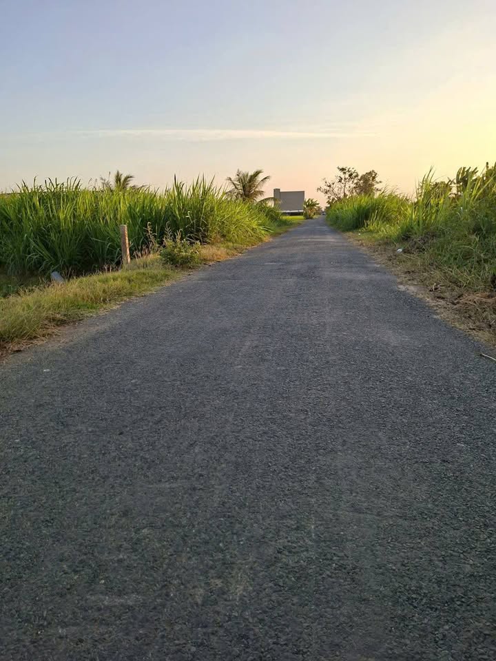 Đất nền mặt tiền đường nhựa Bình Ân 932m² giá 1.2 tỷ - Sổ hồng sẵn