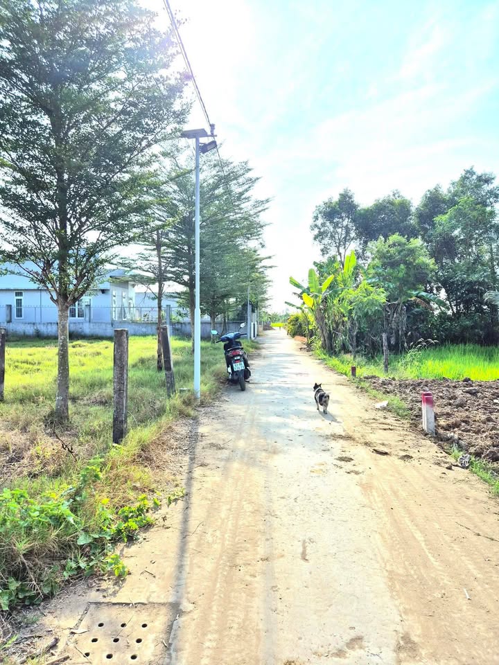 Đất nền Sơn Quy B, xã Tân Đông, Gò Công Đông, 200m² giá chỉ 380 triệu - Sổ đỏ chính chủ!