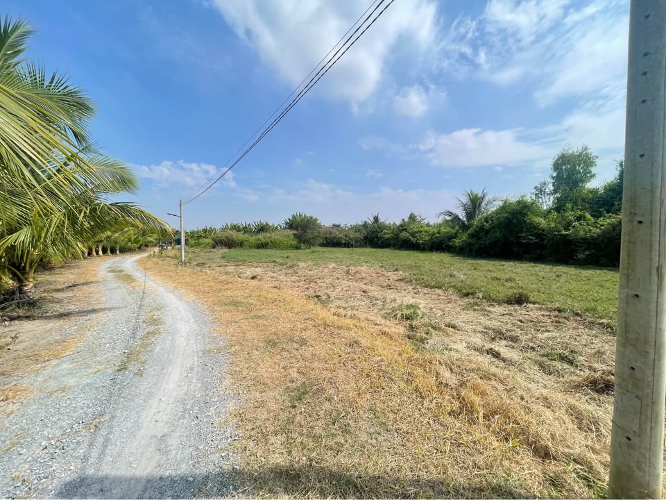 Đất Vườn Nghỉ Dưỡng Sổ Hồng Riêng 1550m² - Cần Giuộc, Long An