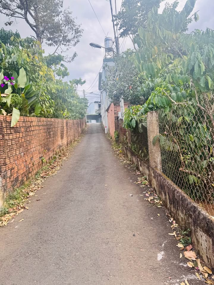 Đất nền hẻm 111 Nguyễn Chí Thanh, Bảo Lộc 100m² giá 1.4 tỷ - Cơ hội đầu tư hấp dẫn!