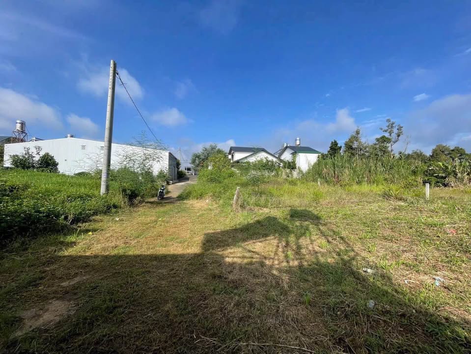 Đất nền 462m² xã Lộc Châu, Bảo Lộc - Giá chỉ 2.15 tỷ, nở hậu đẹp!