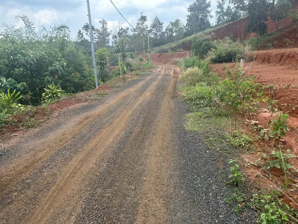 Đất nền tổ 4 Nghĩa Phú 1188m² giá 1.3 tỷ - Cơ hội đầu tư hấp dẫn!