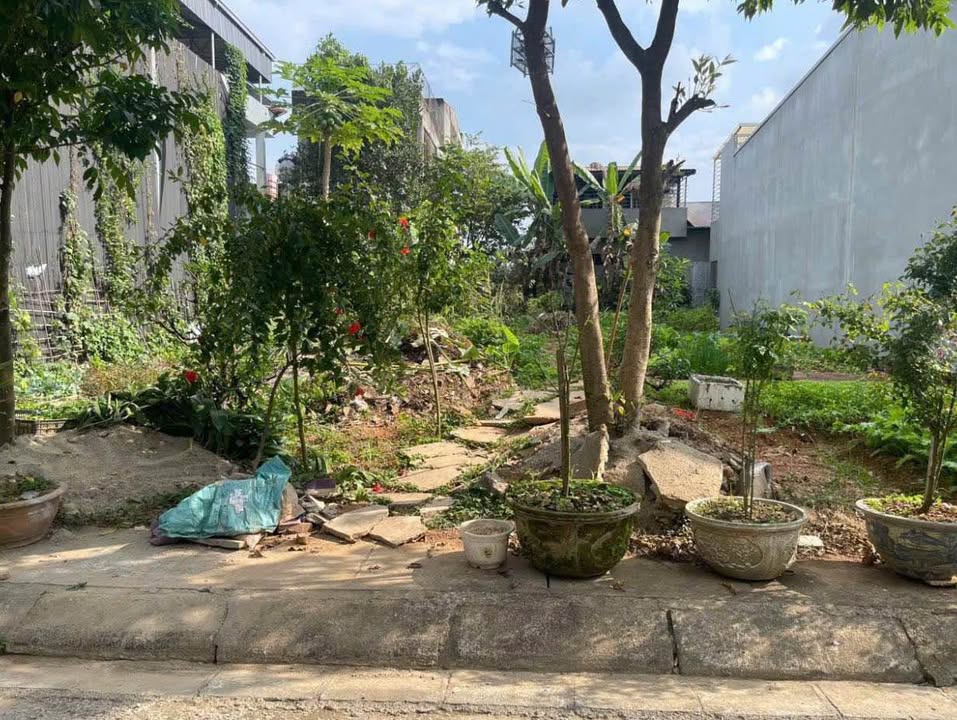 Đất nền Xuân Tăng - Cam Đường 100m² giá 1.28 tỷ - Sổ đỏ chính chủ, giao dịch nhanh!