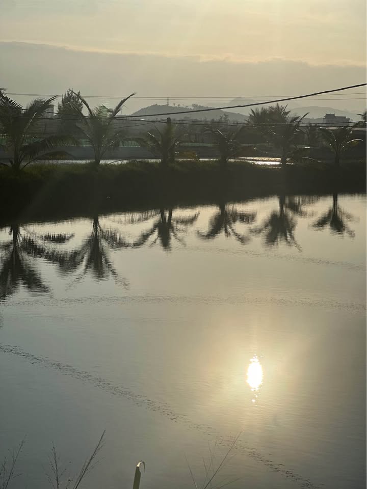 Biệt thự view sông Tam Giang Thị trấn Núi Thành 600m² - An ninh tốt, giá thương lượng!