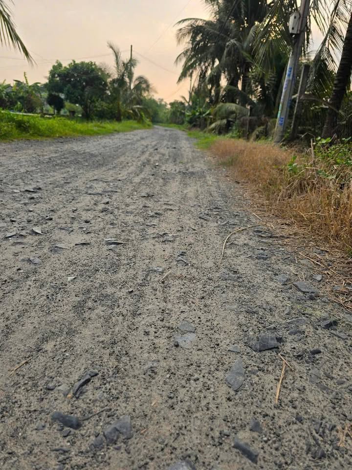 Đất thổ cư 1727m² tại Ấp Rừng Sến, Đức Hòa - Giá 6.3 tỷ, Sổ đỏ chính chủ!