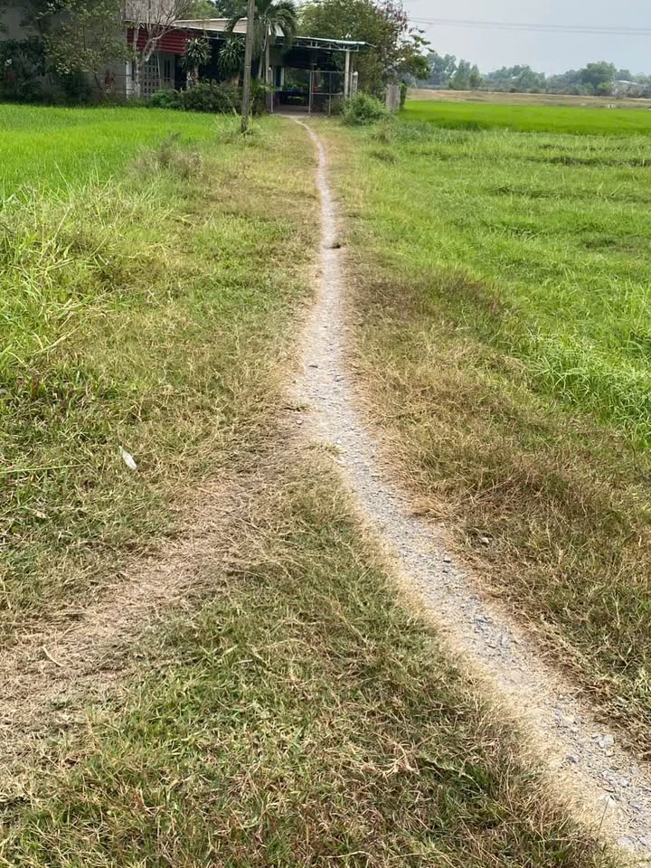 Đất nền 1410m² tại ấp Nhơn Hoà, Đức Hòa Thượng, giá 4.23 tỷ - Đầu tư sinh lời ngay!