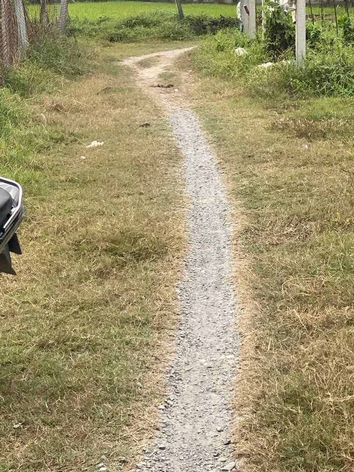 Đất nông nghiệp tại Đức Hòa Thượng, Long An 1200m² giá 2.6 tỷ - Chính chủ bán gấp!