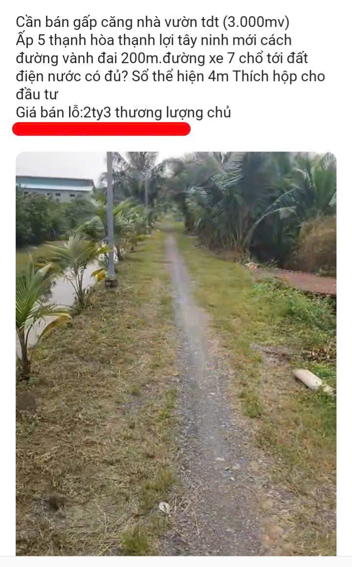 Đất vườn 3000m² Huyện Thủ Thừa giá chỉ 1.8 tỷ - Cần bán gấp!