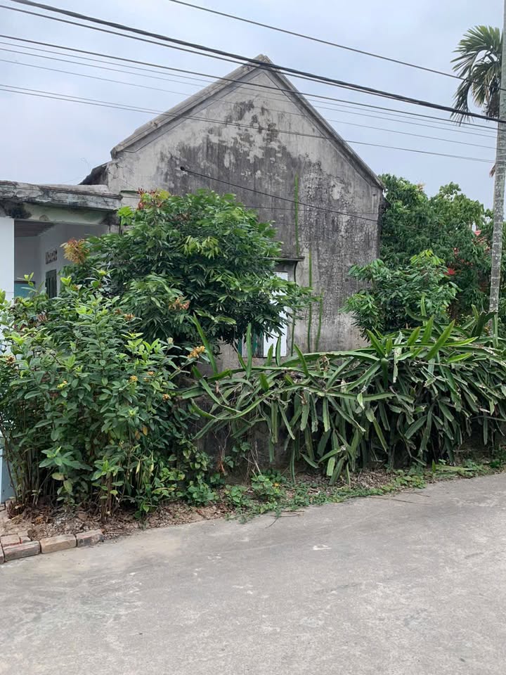 Lô đất Thôn 2 Đoan Xá, Kiến Thụy 99m² giá chỉ 2 tỷ - Tiềm năng tăng giá cao!