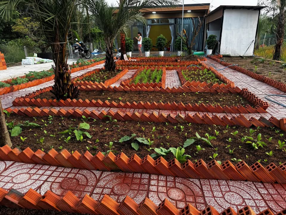 Bán gấp nhà vườn 1.191,6m² tại Thị trấn Bến Lức - Không gian sống lý tưởng!