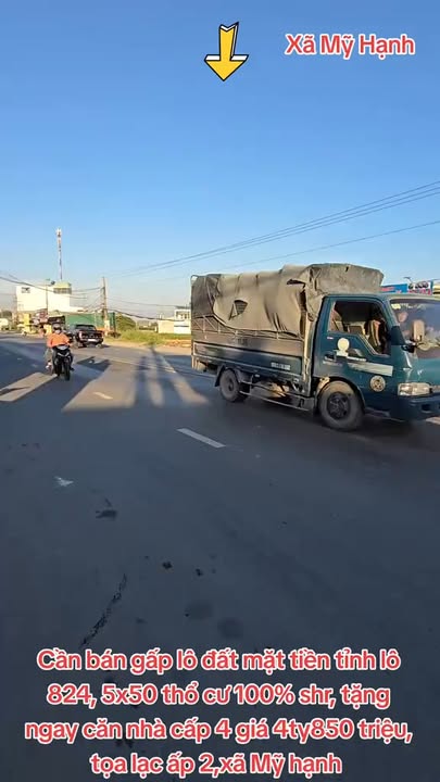 Đất thổ cư 100% 250m² tại Xã Mỹ Hạnh Nam, giá 4.6 tỷ - Cơ hội đầu tư tuyệt vời!