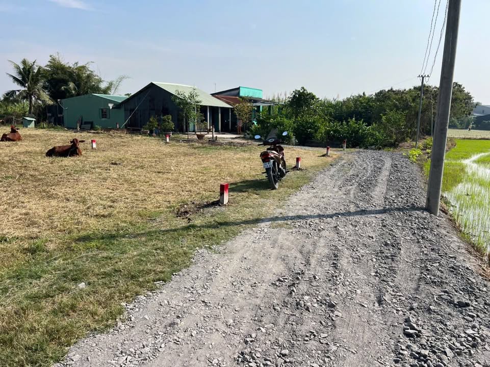 Đất nền xã Phước Lâm, Tây Ninh 297m² giá 1.5 tỷ - Sổ hồng riêng chính chủ!