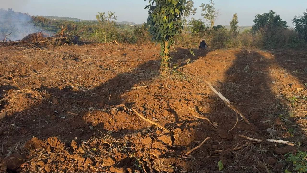 Đất nông nghiệp 19800m² tại Tân Châu, Di Linh - Giá thỏa thuận, ô tô vào tận nơi!