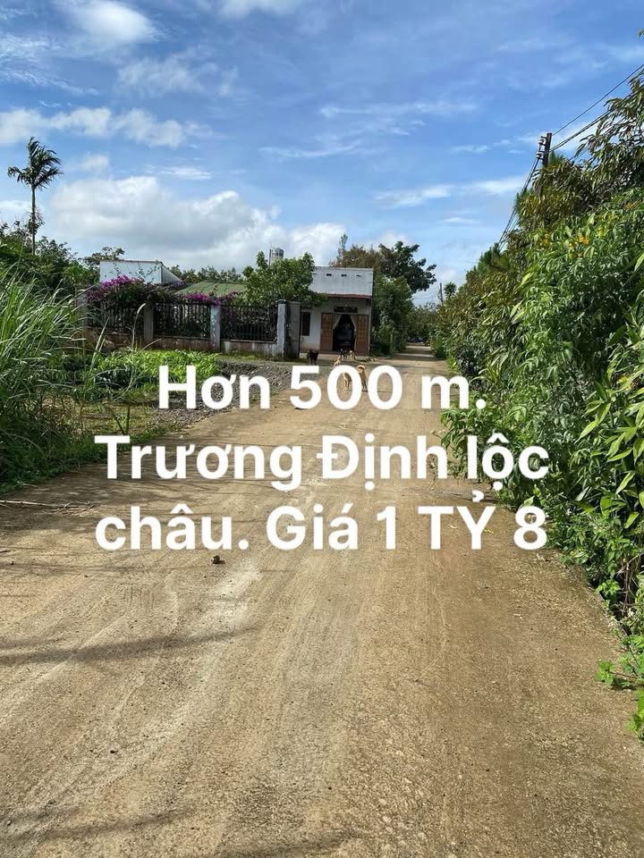 Đất Vàng Trương Định, Q3 - 564m² TC100%, Nở Hậu, Giá 1.85 Tỷ - Bán Gấp Trước Tết!