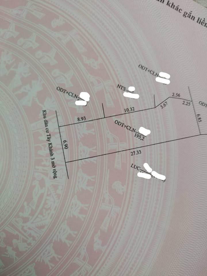 Đất nền góc 2 mặt tiền tại Phường Mỹ Phú 195m² - Đầu tư sinh lời cao!