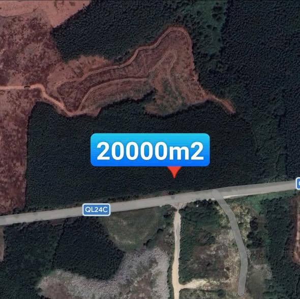 Đất Farm 20.000m² tại Bình Long, giá 6.3 tỷ - Đầu tư sinh lời ngay!