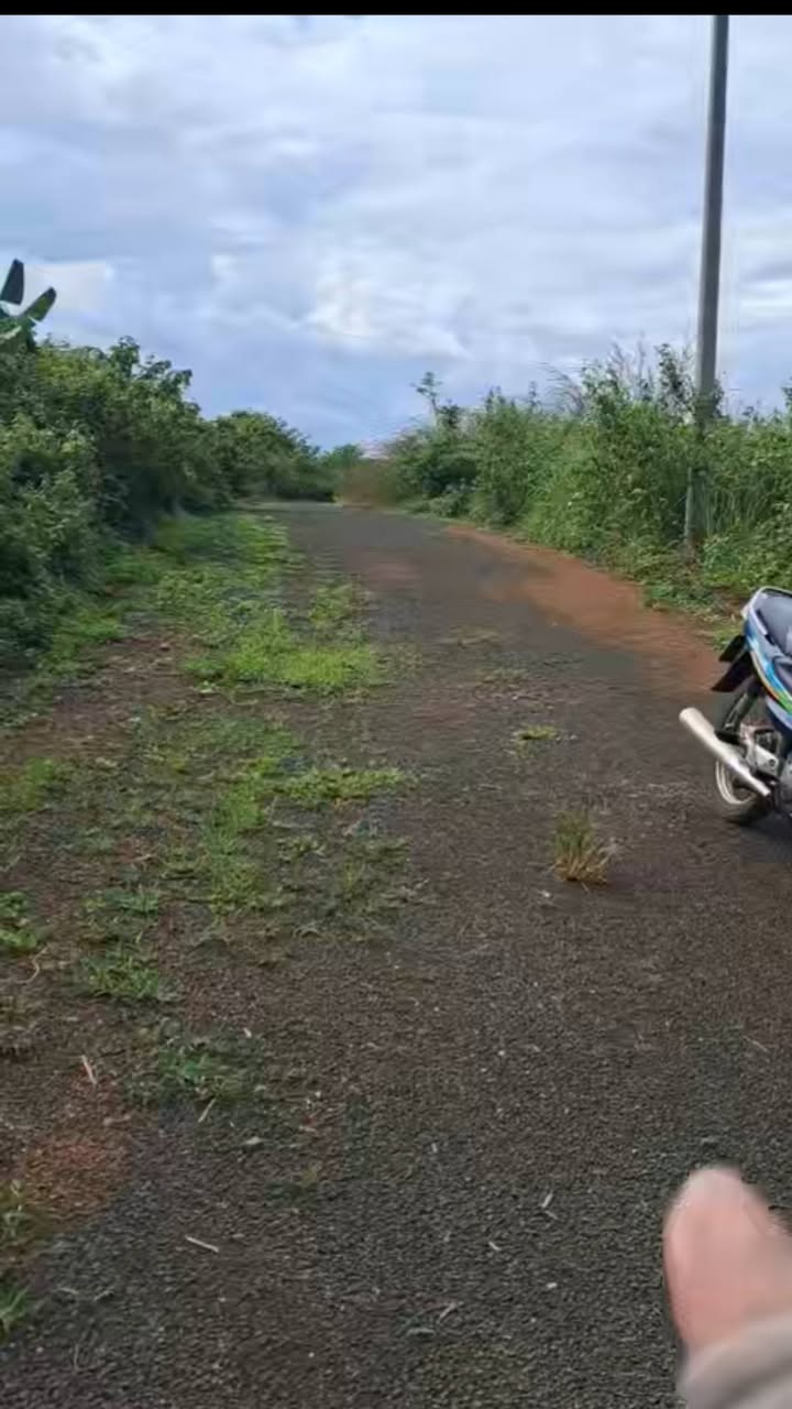 Đất nền 360m² tại Ấp 2, Đồng Tâm - Giá chỉ 360 triệu, đầu tư ngay!