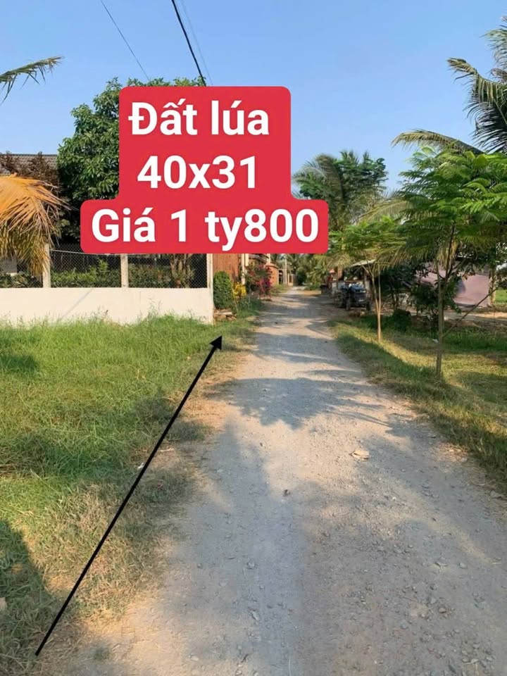 Đất nền An Ninh Tây, Đức Hòa, 1419m² giá 1.8 tỷ - Đầu tư sinh lời vượt trội!