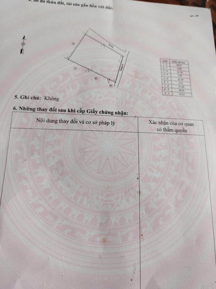 Lô đất vườn 1500m² tại Cát Trinh - Phù Cát giá 199 triệu - Cơ hội đầu tư hấp dẫn!