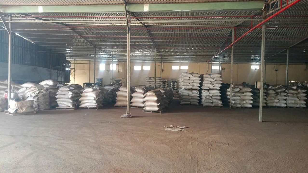 Xưởng cho thuê 2000m² tại Tân Định, Bến Cát - Giá chỉ 120 triệu/tháng!