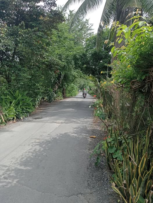 Đất mặt tiền huyện lộ 53, xã Tân Hội, 758m² - Đầu tư sinh lời hấp dẫn!