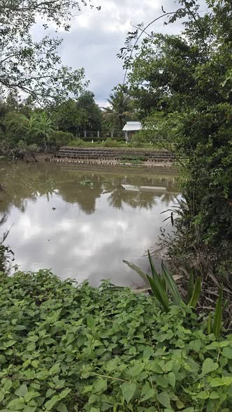 Đất vườn 3000m² tại Xã Long Trung, Huyện Cai Lậy - Cơ hội đầu tư tuyệt vời chỉ 4.5 tỷ!