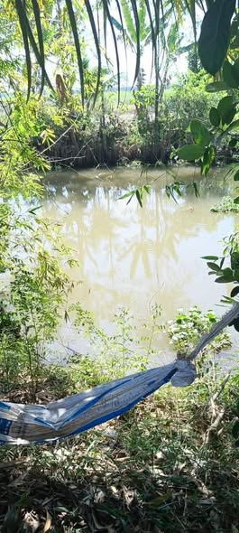 Đất nông nghiệp Hậu Mỹ Trinh 20.000m² giá 2.1 tỷ - Cơ hội đầu tư hấp dẫn!