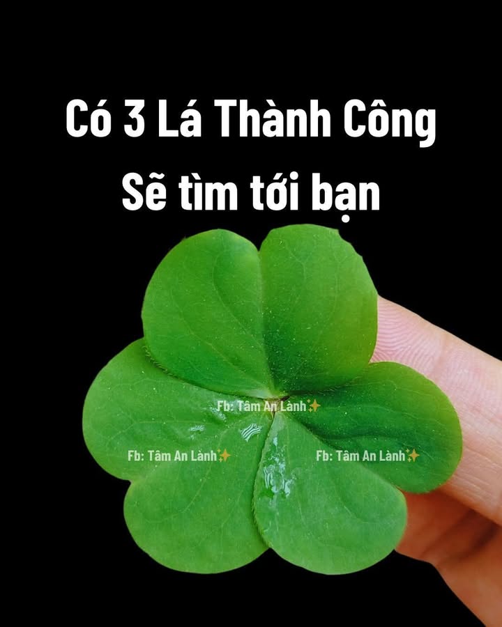 Đất nền Xã Quảng Điền, Huyện Krông Ana, 185m² giá 1.147 tỷ - Cần tiền sắm Tết bán gấp!