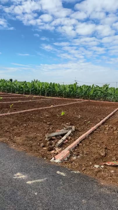 Đất nền mặt tiền đường nhựa 1sec 19/5, Bàu Hàm, 100m², giá 630 triệu - Cơ hội đầu tư tuyệt vời!