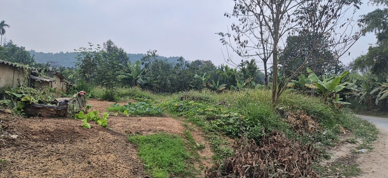 Đất nền thổ cư 42m² tại Thôn Bản Bay, Lào Cai - Chỉ 1.3 tỷ!