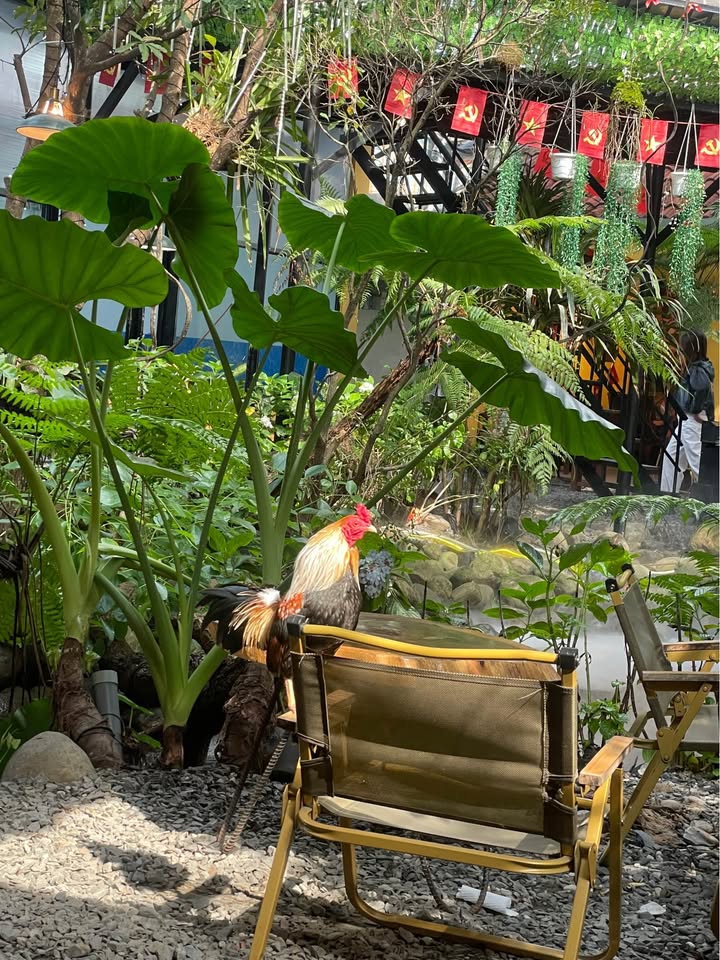 Đất kiệt Ngô Sỹ Liên, Quận Liên Chiểu, 70.7m² - Giá tốt chỉ 2.65 tỷ!