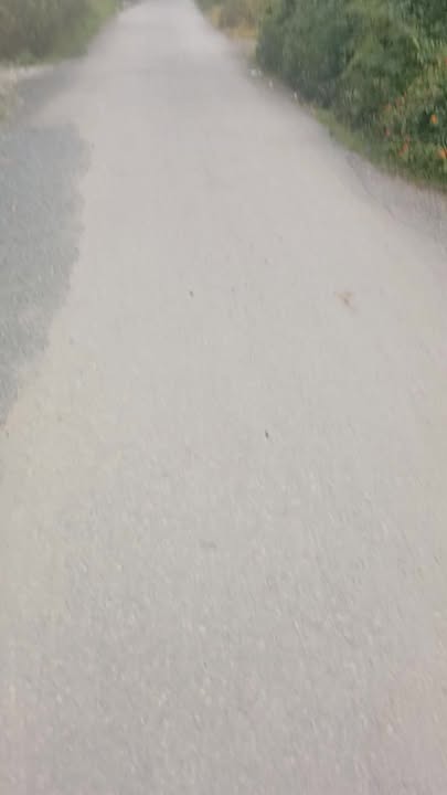 Đất nền kinh doanh tại xã Bình Phú, huyện Gò Công Tây 322.1m² chỉ 962.1 triệu - Vị trí đắc địa!