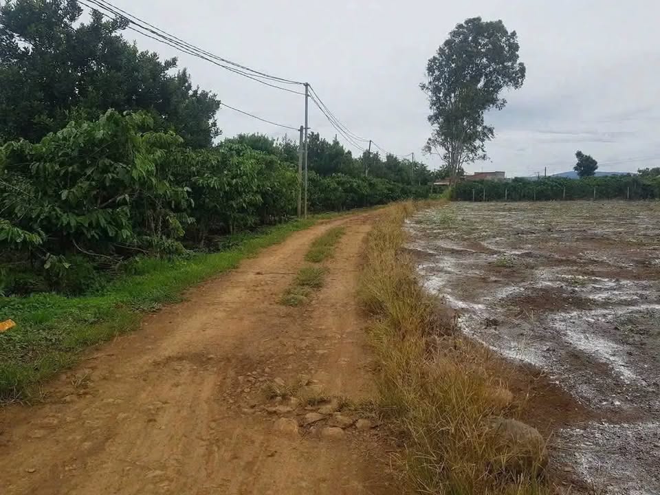 Đất hẻm DH1 Tân Hội 3060m² giá 6.8 tỷ - Cơ hội đầu tư tuyệt vời!