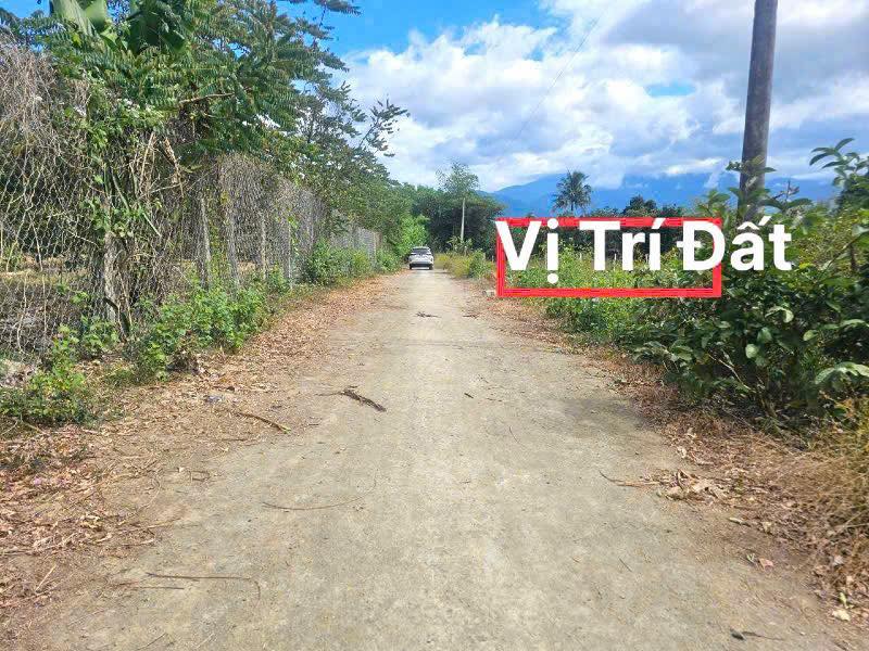 Đất thổ cư Khánh Vĩnh, Khánh Hòa 460m² chỉ 399 triệu - Sổ đỏ riêng, mặt tiền đường bê tông!
