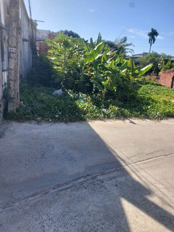 Đất nền Thị trấn Long Hải 102m² giá 790 triệu - Cơ hội đầu tư hấp dẫn!