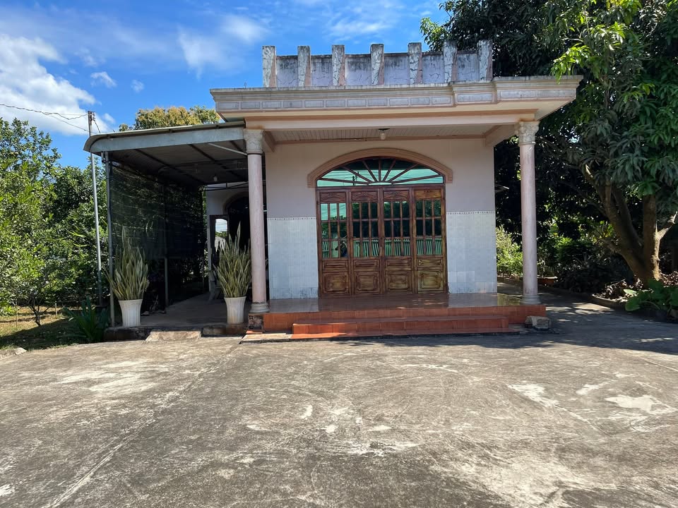 Bán gấp nhà vườn tại phường Tân Thành - TP HCM, diện tích 9,4 sào chỉ 11 tỷ!