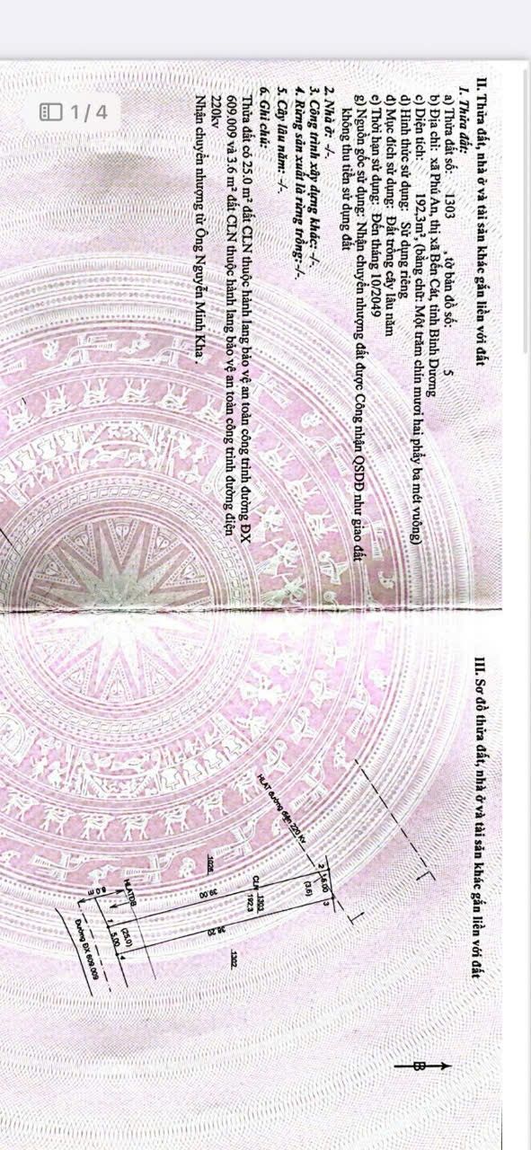 Đất nền Phú An 195m² giá chỉ 7xx triệu - Cơ hội vàng cho nhà đầu tư!