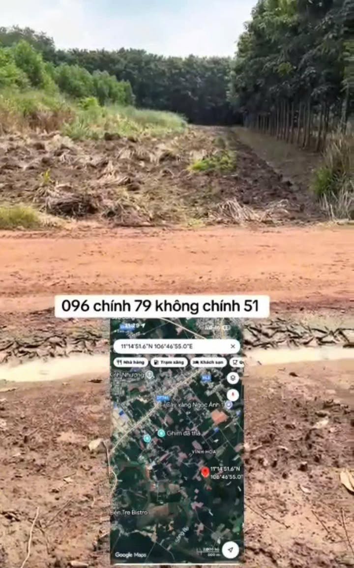 Đất Vĩnh Hoà, Phú Giáo 1160m² giá chỉ 700 triệu - Cơ hội đầu tư hiếm có!