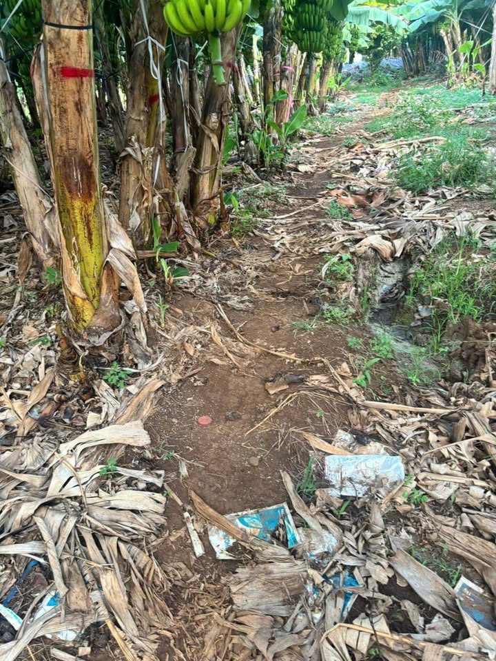 Farm 2.2ha tại Phú Lợi, Định Quán, Đồng Nai - Cho thuê giá 130 triệu/năm!