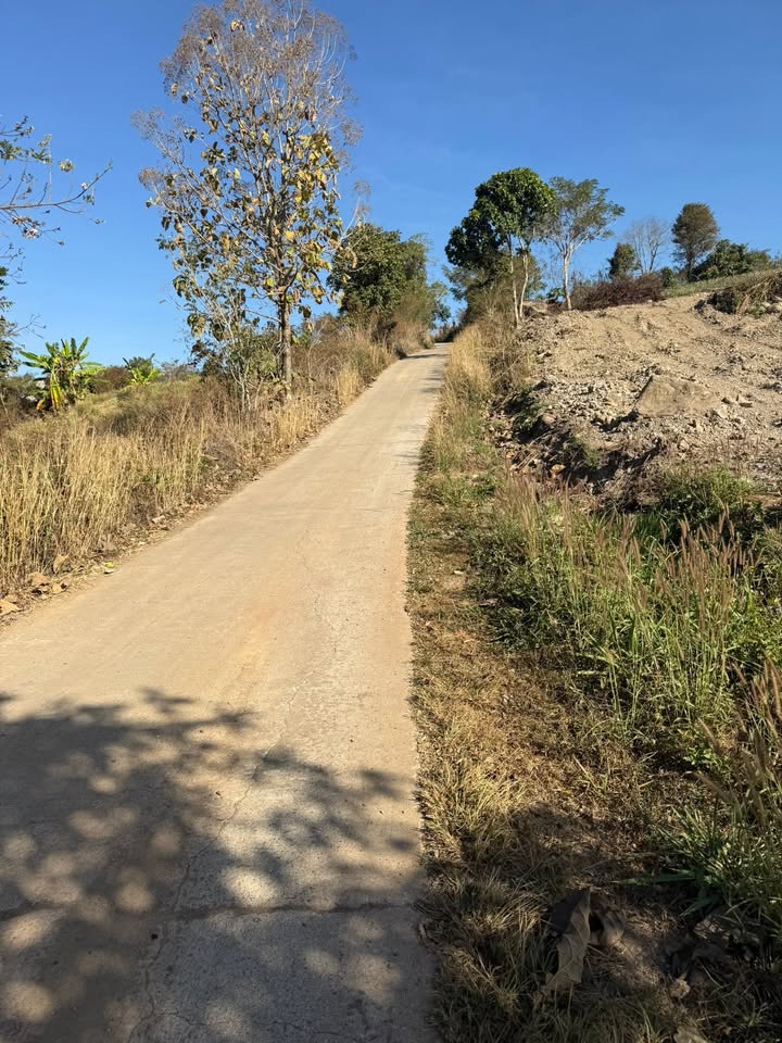 Farm Đan Phượng Lâm Hà 1000m² giá 350 triệu - Sổ đỏ chính chủ