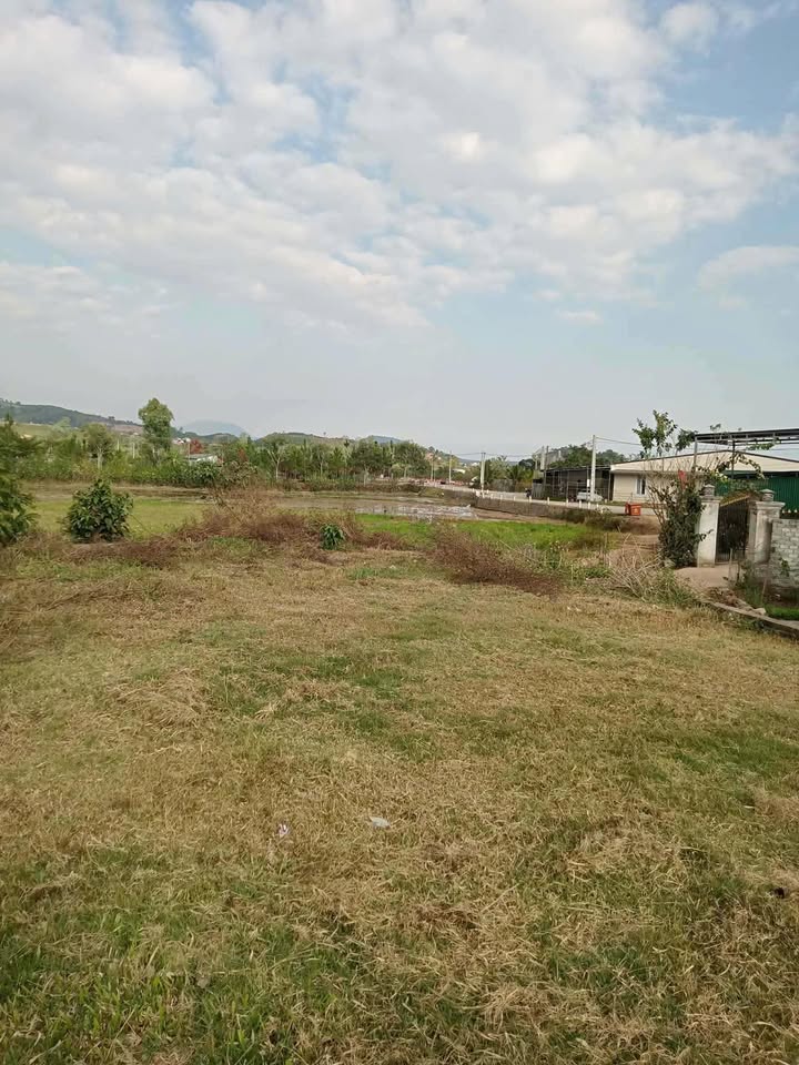 Đất nền Quốc lộ 27, Xã Gia Lâm, 500m² giá 900 triệu - Pháp lý rõ ràng