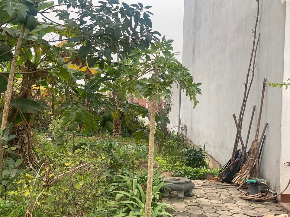 Đất nền Phường Thanh Miếu, 90m² giá 3.8 tỷ - Đầu tư sinh lời ngay!