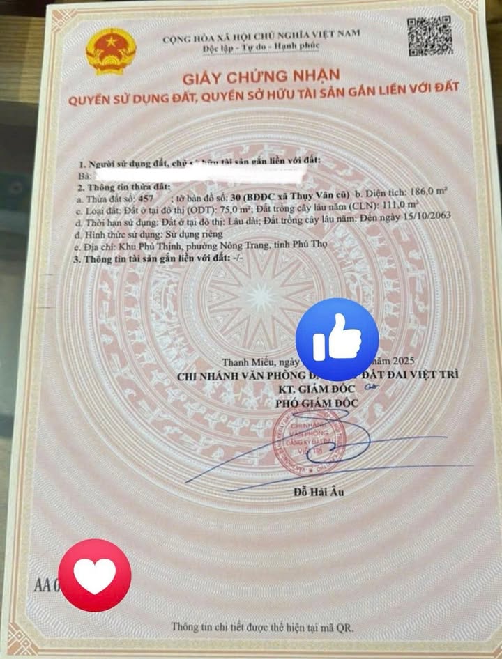 Đất nền Khu Phú Thịnh, Phường Nông Trang 186m² giá 1 tỷ - Đường ô tô thoải mái!